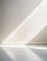 Wall Mural - minimalistic abstract light grey wall background for product presentation with sunlight shadow.