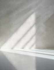 Wall Mural - minimalistic abstract light grey wall background for product presentation with sunlight shadow.