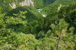 Valley of Tara river. Montenegro.