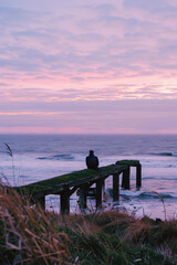 Wall Mural - A man sits on the grassy hill overlooking an old pier that is floating in the ocean, the sky above has pastel pink and purple hues