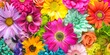 Colorful daisies and roses blend in a floral mosaic.
