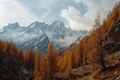 Landscape of the Italian Alps in autumn, with brown larch trees and snowcapped mountains, in the style of high resolution photography, in the style of high definition