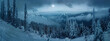 beautiful winter landscape, snowcovered forest on the background of mountains, panoramic view, moonlight shining through clouds, blue tones, high resolution photography