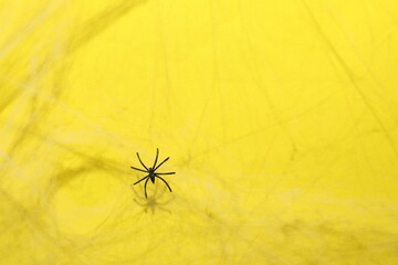 Wall Mural - Cobweb and spider on yellow background, top view