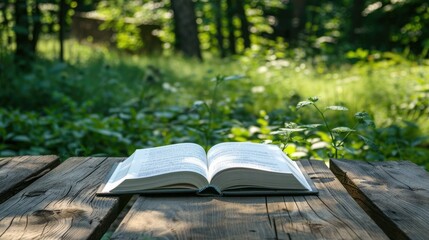 Open book on outdoor wooden table Stock Picture --ar 16:9 --style raw Job ID: 9a6cb184-b96c-4c0c-b2a8-172f650c464c