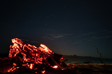 Wall Mural - campfire at night on beach