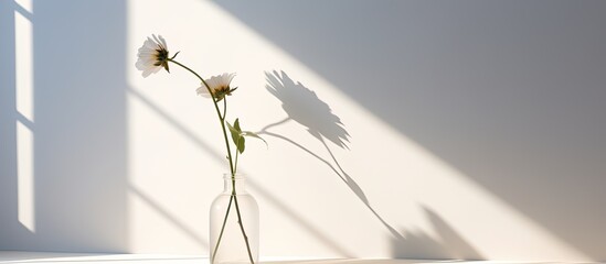 Wall Mural - A simple white vase containing a solitary blooming flower, set against a plain background