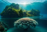 Fototapeta Do akwarium - coral reef and sea