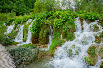 Poster - Water tumbling over greenery by walkway Croatia