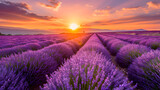 Fototapeta Do przedpokoju - The vibrant colors of a sunset over lavender fields, creating a harmonious blend of warm and cool tones