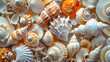 Abstract patterns by arranging seashells in creative compositions, capturing the textures and shapes in a unique way