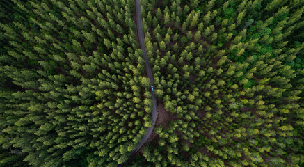 Wall Mural - Aerial view of dark green forest road and white electric car Natural landscape and elevated roads Adventure travel and transportation and environmental protection concept	