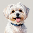 A maltese dog, watercolor, profile picture