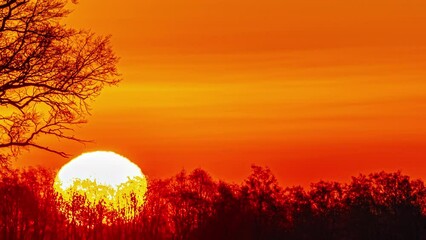 Wall Mural - Moonrise In A Vibrant Yellow Sky With Clouds. Night Sky Natural Color. Timelapse