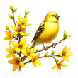 Canary and Forsythia