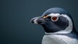  A close-up photo of a penguin's head, showing its distinctive blue, white, and orange beak against a black background
