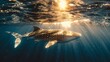  A whale swimming in the sunlit ocean, with light filtering through the water