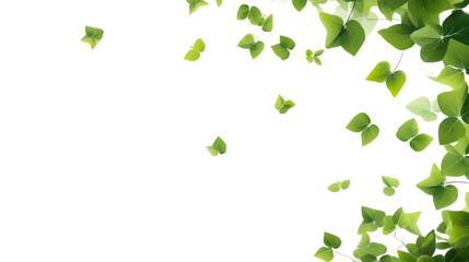 Wall Mural - green flying leaves isolated on transparent and white background.png image.