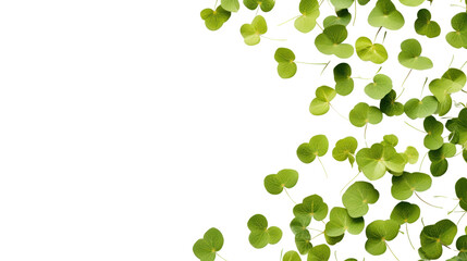 Wall Mural - green flying leaves isolated on transparent and white background.png image.