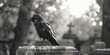 A black and white photo of a bird perched on a grave. Suitable for cemetery or nature themes