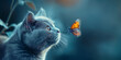 Süße BKH Zucht Katze Gesicht mit Schmetterling als Nahaufnahme, ai generativ 