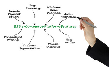 Wall Mural - Eight Features of B2B e-Commerce Platform