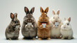 A lineup of rabbits with varying fur colors using smartphones on a white background