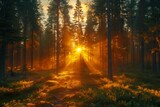 Fototapeta Las - The suns rays are filtering through the dense foliage of trees in the forest, creating a beautiful natural landscape for people to enjoy in the great outdoors