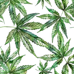 Wall Mural - cannabis leaf background