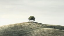 Lonely tree on top of hill - Landscape illustration