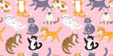 Fototapeta Pokój dzieciecy - Seamless pattern with Cute funny cats. Lovely Kitten design.  Hand drawn trendy vector illustration. Adorable pet background.