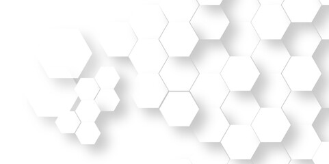 Abstract 3d background with hexagons pattern with hexagonal white and gray technology line paper background. Hexagonal vector grid tile and mosaic structure mess cell. white and gray hexagon.