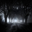 creepy dark trees fog silhouette gothic background