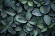 Tiled plant leaves background, floral pattern for wallpaper, color schema