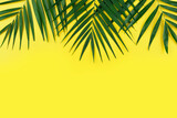 Fototapeta Tęcza - Vacation travel planning simple theme of palm leaves on uniform yellow background flat lay with copy-space