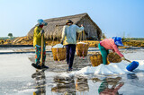 Fototapeta Londyn - Farmers are harvesting salt in Can Gio district, a suburban district of Ho Chi Minh City, Vietnam.