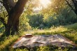 Serene Summer Picnic Scene in Lush Forest Clearing with Warm Sunlight Peering Through Trees