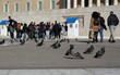 Pigeons on the ground in front of building of Greek Parliament in Athens, in background tourists in soft focus
