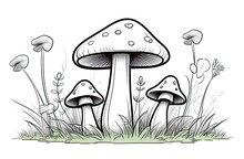 Pencil Drawing Of Mushrooms In The Forest, Black Outline On A White Background