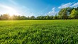 A panoramic view of smooth green grass and a vast blue sky, capturing the serene beauty of a sunlit lawn in a natural setting
