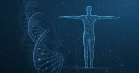 Wall Mural - Human DNA. Medical technology, gene evolution, cellular health, nervous system