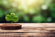 Fresh green lucky clover leaf on beautiful bokeh background with space for text or copy space