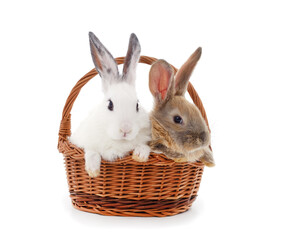 Wall Mural - Rabbits in the basket.