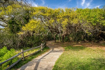 Canvas Print - vilano beach, fl