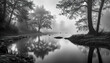 Trees above the River in the Fog - Black and white artwork