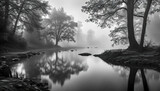 Fototapeta Perspektywa 3d - Trees above the River in the Fog - Black and white artwork