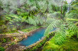 Fototapeta Góry - Discover the tranquil Caldeira Velha hot springs, nestled in Sao Miguel lush fern-covered hills, offering a serene retreat in the Azores.