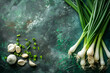 A bunch of fresh sweet garlic on a dark green textured background. A hybrid of garlic and leek, a new vegetable for healthy nutrition.  A horizontal banner with a place for text.