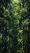 Bring to life a visionary concept of city transformation into living forests when photographed from a unique low angle Showcase high-rise buildings 