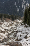 Fototapeta Las - mountain river in winter